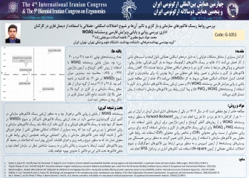 Investigating the relationship between organizational and workload risk factors and their impact on the prevalence of musculoskeletal disorders using Fuzzy DEMATEL in office workers: Validity and reliability of the Persian version of the WOAQ questionnair